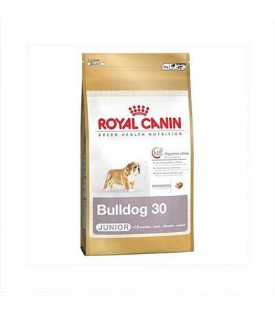 Royal Canin BULLDOG JUNIOR ( 50070460 20,00 €Total including VAT To shopping cart EAN: 3182550743952Manufacturer: Royal Canin, Manufactured in EU, www.royalcanin.co.uk Complete ROYAL CANIN for dogsFood for selected dog breedsGranulated foodstuffs for dogs