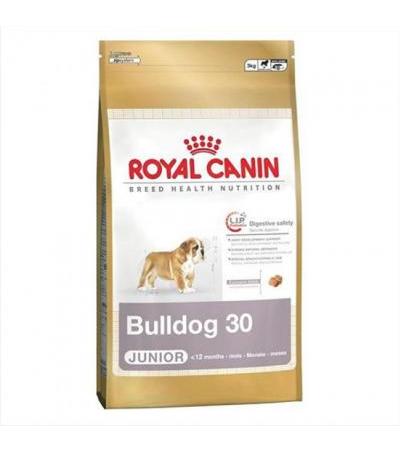 Royal Canin BULLDOG JUNIOR ( 50070461 66,80 €Total including VAT To shopping cart EAN: 3182550743891Manufacturer: Royal Canin, Manufactured in EU, www.royalcanin.co.uk Complete ROYAL CANIN for dogsFood for selected dog breedsGranulated foodstuffs for dogs