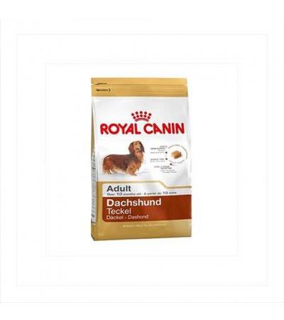 Royal Canin DACHSHUND ADULT (>10m) 500g