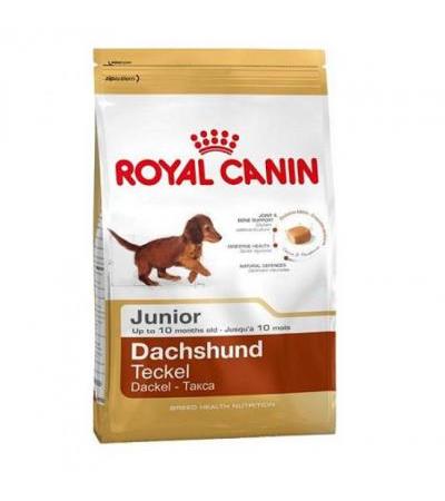 Royal Canin DACHSHUND JUNIOR ( 50070570 12,00 €Total including VAT We regret, but the goods you are looking for are not available at the moment. For more detailed information you can contact us at info@docsimon.cz EAN: 3182550722575Manufacturer: Royal Can