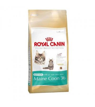 Royal Canin KITTEN MAINE COON ( 50070579 90,00 €Total including VAT We regret, but the goods you are looking for are not available at the moment. For more detailed information you can contact us at info@docsimon.cz EAN: 3.18255077097e+1Manufacturer: Royal