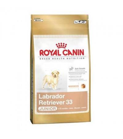 Royal Canin LABRADOR RETRIEVER JUNIOR ( 50070587 67,10 €Total including VAT To shopping cart EAN: 3182550725514Manufacturer: Royal Canin, Manufactured in EU, www.royalcanin.co.uk Complete ROYAL CANIN for dogsFood for selected dog breedsGranulated foodstuf