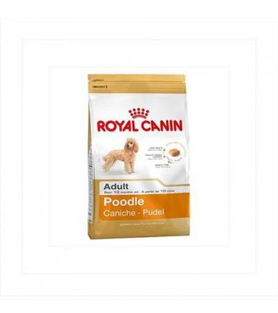 Royal Canin POODLE ADULT (>10m) 500g