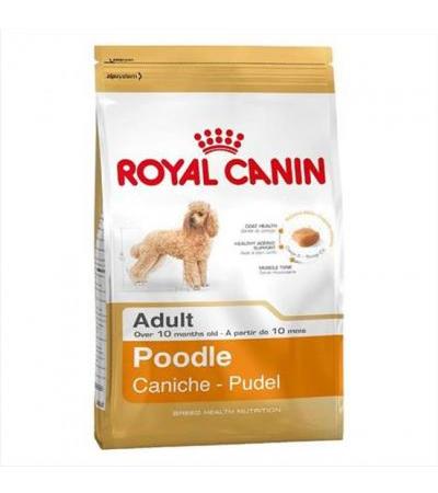 Royal Canin POODLE ADULT (>10m) 7.5kg
