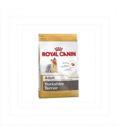 Royal Canin YORKSHIRE ADULT (>10m) 500g