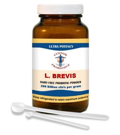 L. Brevis Probiotic Powder 100 gram
