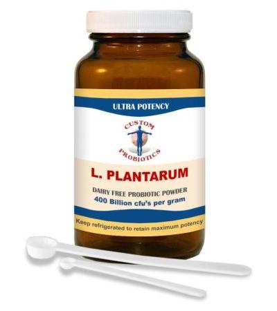 L. Plantarum Powder 100 gram